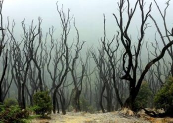 Kisah Mistis Gunung Papandayan: Jejak Big Foot hingga Legenda Si Tongki 