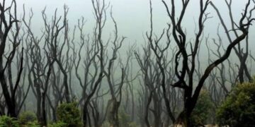 Kisah Mistis Gunung Papandayan: Jejak Big Foot hingga Legenda Si Tongki 