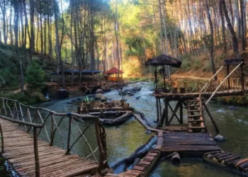 Hutan Pinus Rahong Pangalengan, Wisata Alam Sejuk dengan Sungai, Camping Ground, dan Glamping