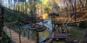 Hutan Pinus Rahong Pangalengan, Wisata Alam Sejuk dengan Sungai, Camping Ground, dan Glamping