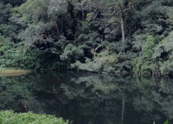Fakta di Balik Mitos Pesugihan Gunung Gede, Benarkah Harus Mengorbankan Anak?