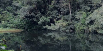 Fakta di Balik Mitos Pesugihan Gunung Gede, Benarkah Harus Mengorbankan Anak?