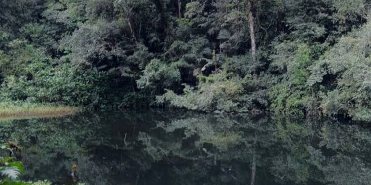 Fakta di Balik Mitos Pesugihan Gunung Gede, Benarkah Harus Mengorbankan Anak?
