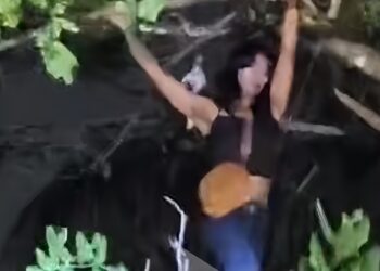 Aksi Waria Sembunyi di Atas Pohon Saat Penertiban di Tasikmalaya Jadi Viral!