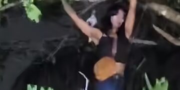 Aksi Waria Sembunyi di Atas Pohon Saat Penertiban di Tasikmalaya Jadi Viral!