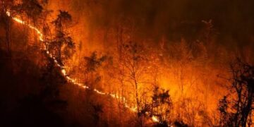 5 Penyebab Kebakaran Hutan di Kalimantan Sulit Padam, Bukan Cuma karena Kemarau