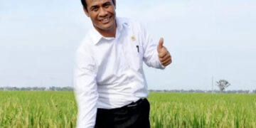 Bawa Angin Segar, Mentan Amran Janjikan Harga Beras Turun Pekan Ini