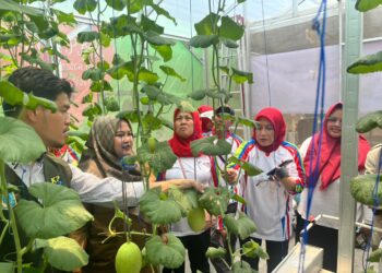 Pertamina Patra Niaga RJBB Bersama Masyarakat Kembangkan Pertanian Hidroponik untuk Perkuat Ketahanan Pangan