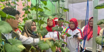 Pertamina Patra Niaga RJBB Bersama Masyarakat Kembangkan Pertanian Hidroponik untuk Perkuat Ketahanan Pangan