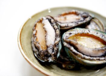 Manfaat Kerang Abalon, Salah Satunya Bisa Jaga Kesehatan Jantung!