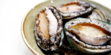 Manfaat Kerang Abalon, Salah Satunya Bisa Jaga Kesehatan Jantung!